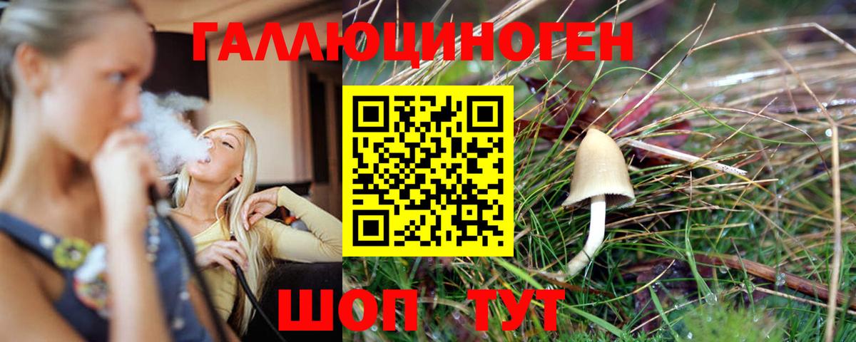 Псилоцибиновые грибы Cubensis  Вход с VPN  Анапа 